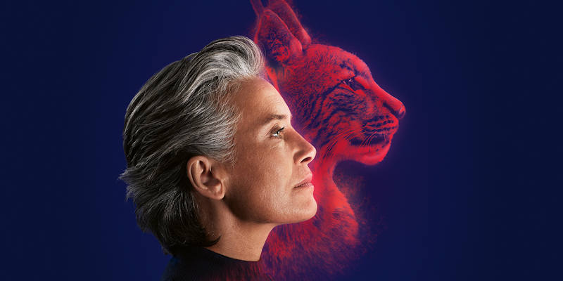 La última tecnología en Audífonos en Vallecas: Audífonos Híbridos en AudioPlan