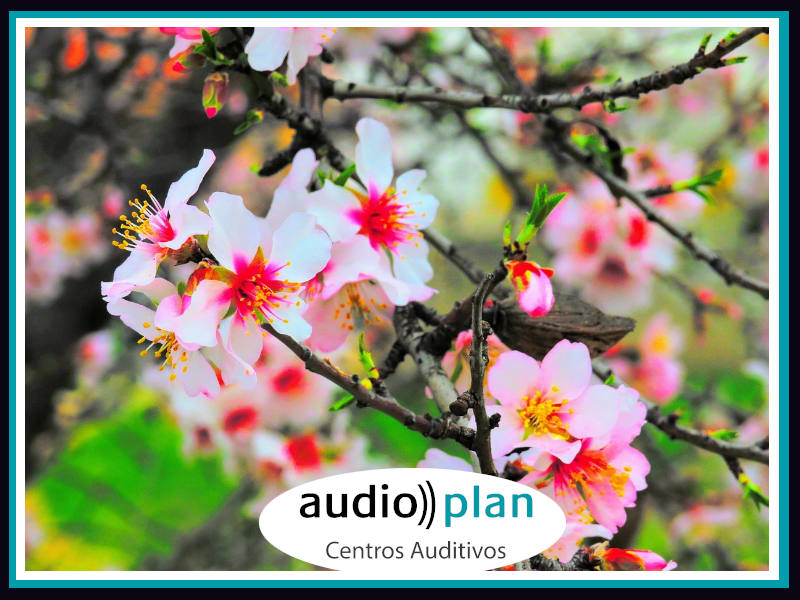 Disfruta de una primavera con los audífonos de AudioPlan